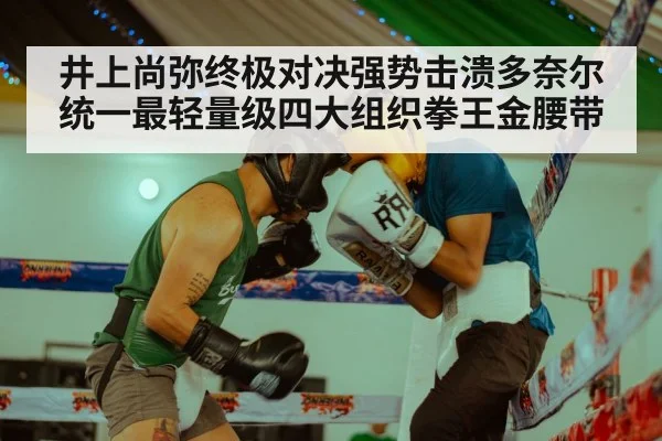 井上尚弥终极对决强势击溃多奈尔统一最轻量级四大组织拳王金腰带