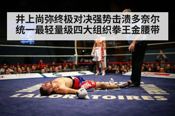 boxer knockout